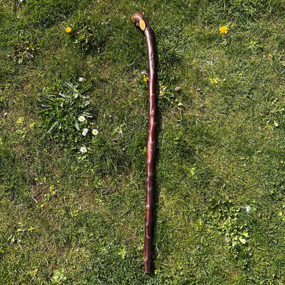 Blackthorn Root Ball Shillelagh – 100 cm (39.4”)