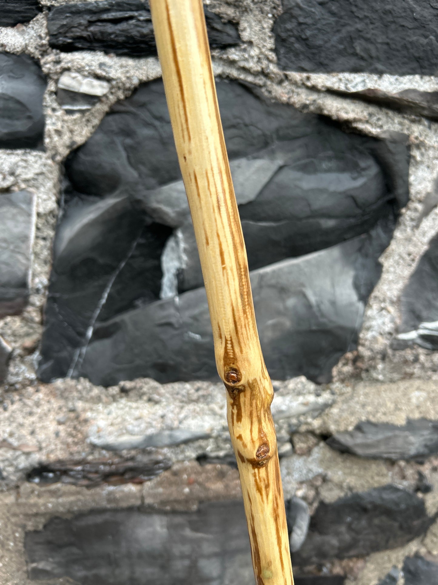 Hazel Walking Stick with L Handle Door Knocker – 101 cm (39.7”)