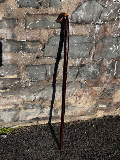 Blackthorn Shillelagh with Small Handle - 99 cm / 39 inches