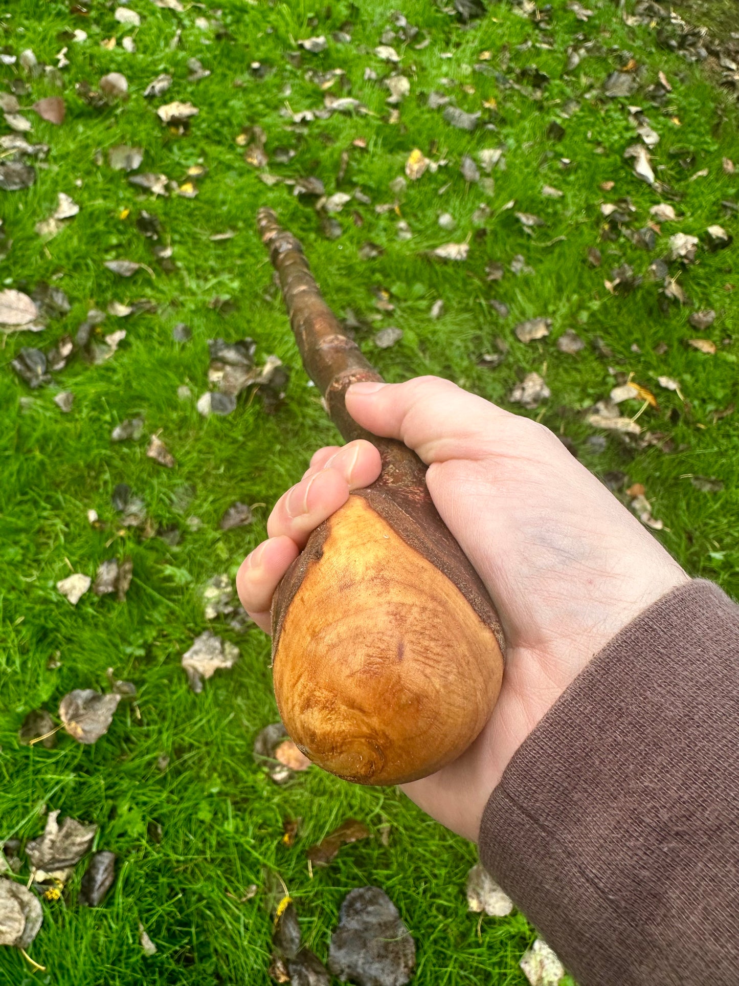 Irish Blackthorn Walking Stick with Knuckles – 40”