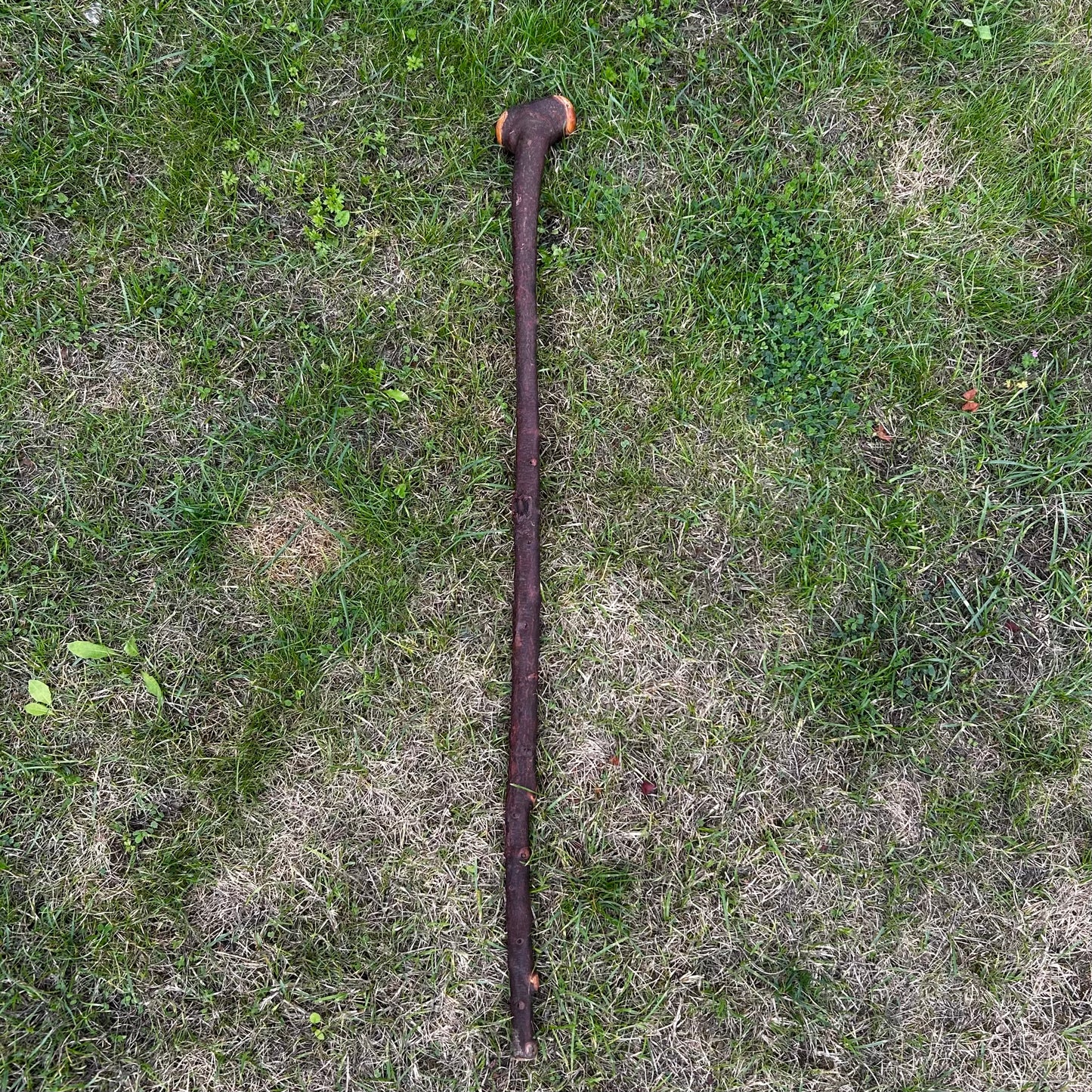 T-Shaped Handle Blackthorn Shillelagh – 97 cm (38.2”)