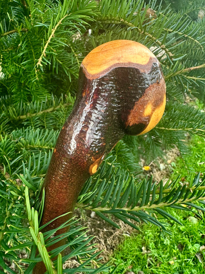 Irish Blackthorn Walking Stick with Knuckles – 40”