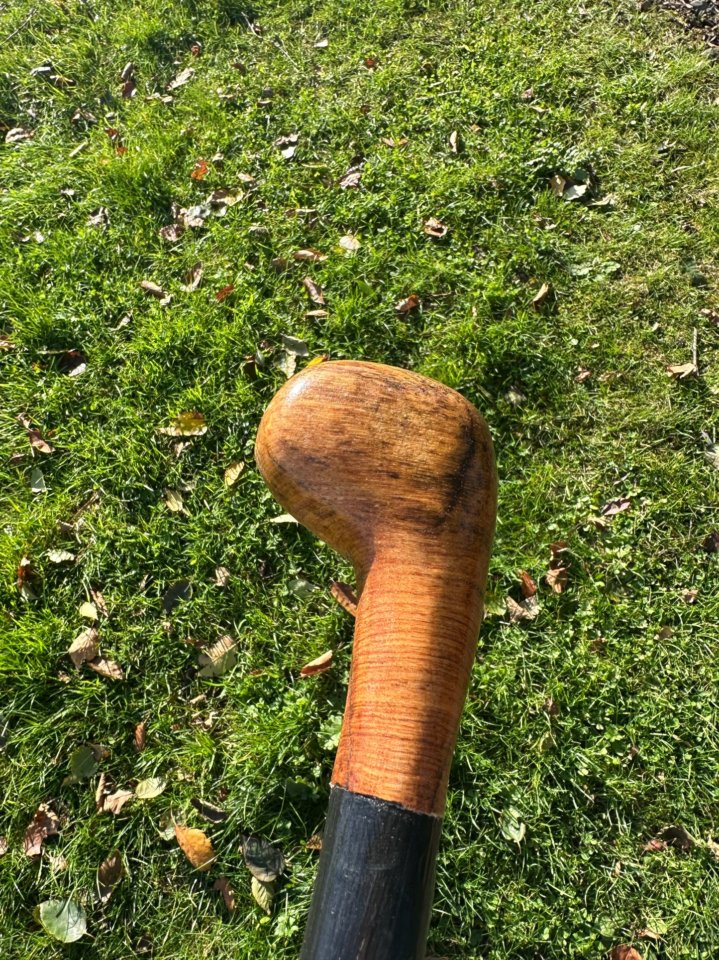 Blackthorn Walking Stick with Round Handle - 91 cm / 35.8 inches