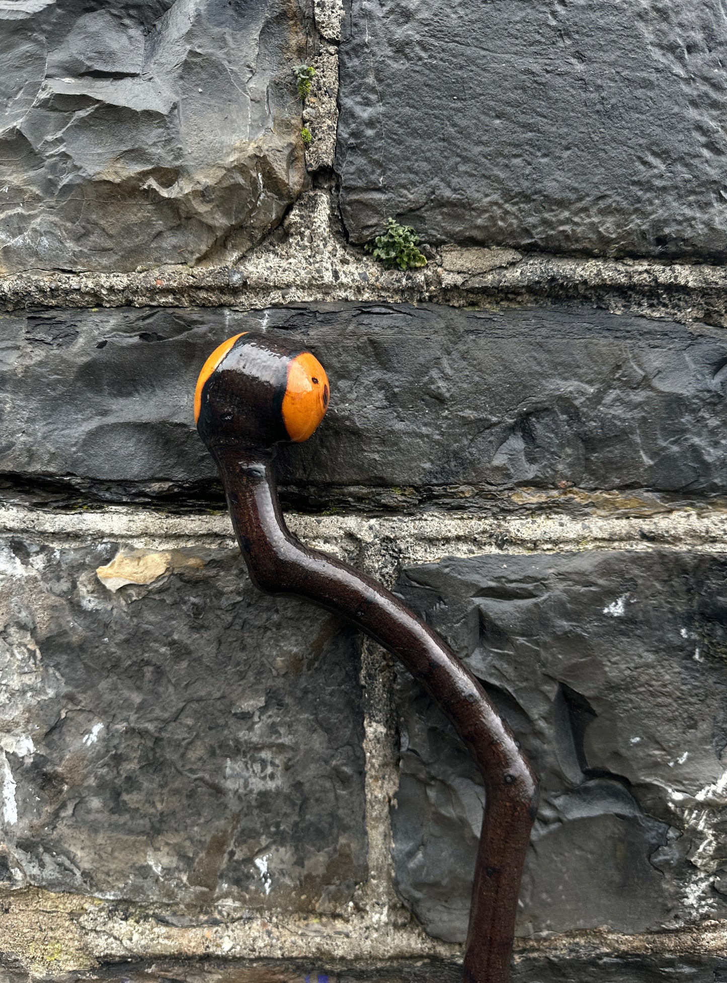 Unique Twisted Blackthorn Walking Stick – 101 cm (39.7”)