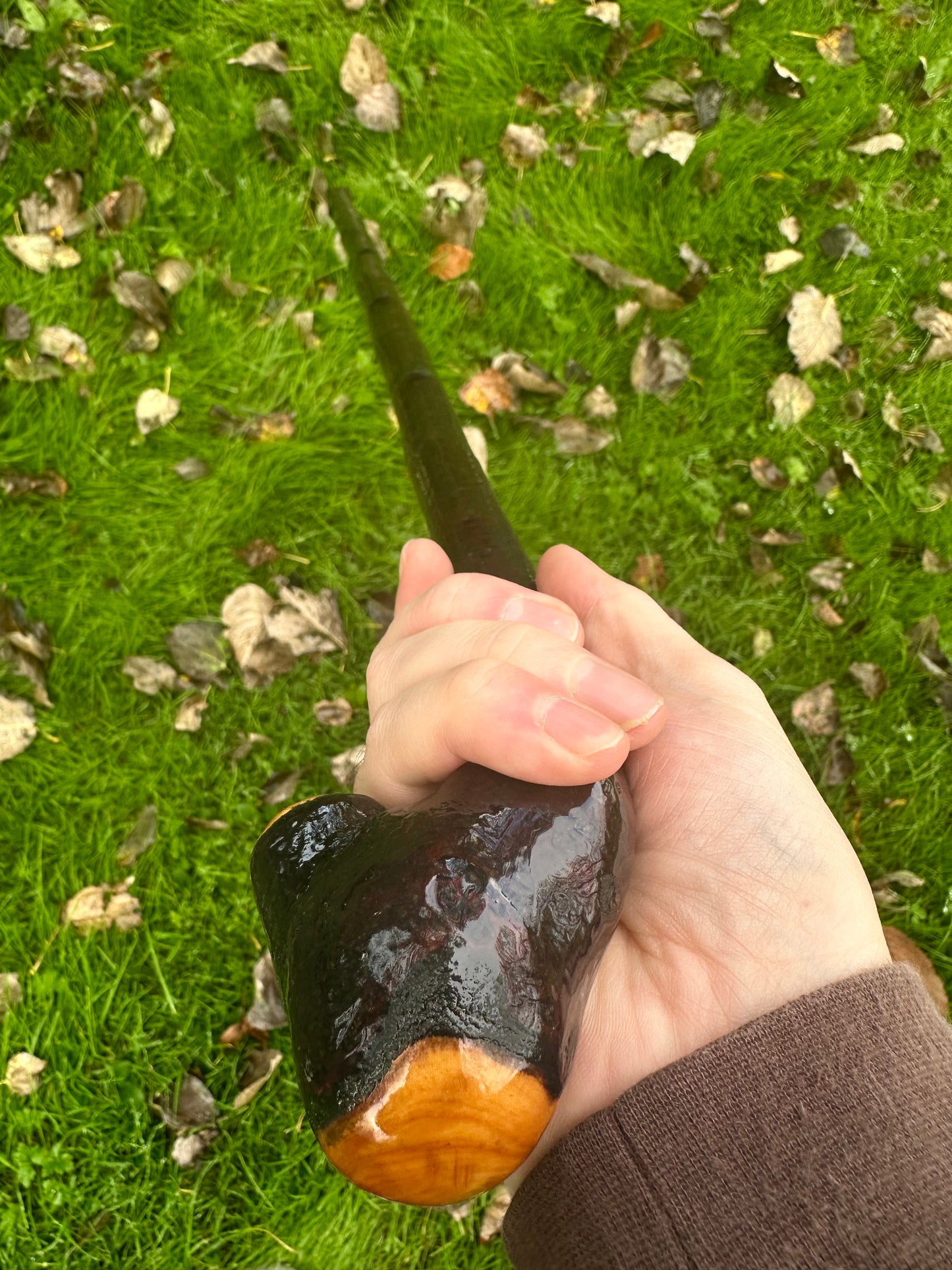 Irish Blackthorn Walking Stick – 37.5”