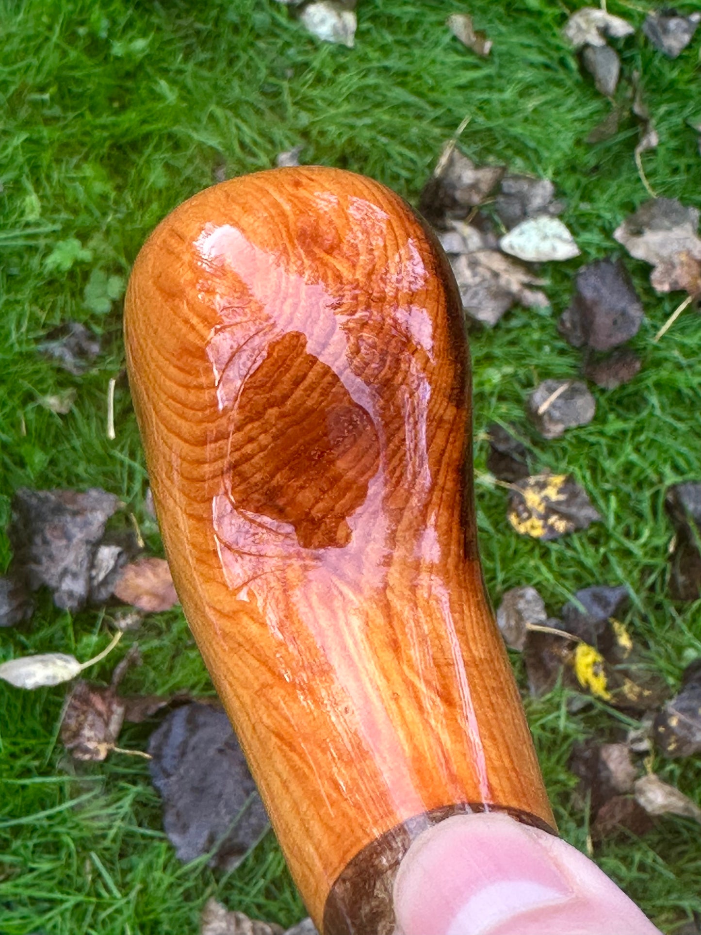 Irish Hazel Stick with Spalted Yew Head – 40”