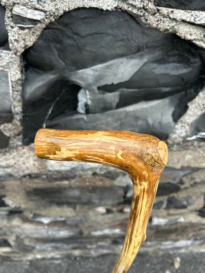 Hazel Walking Stick with L Handle Door Knocker – 101 cm (39.7”)