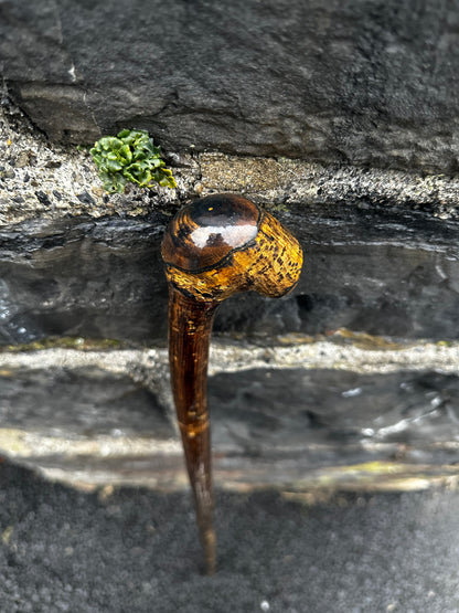 Luxury Hazel Walking Stick with Large Cylindrical Knob Head – 106 cm (41.7”)