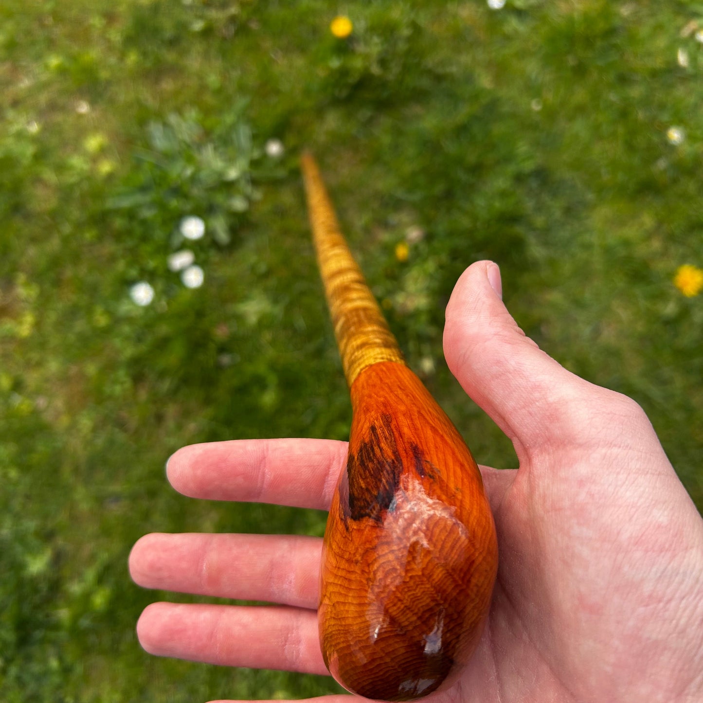 Luxury Hazel Two-Piece Shillelagh with Spalted Beech Handle – 100 cm (39.4”)