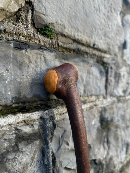 Blackthorn Walking Stick with Tidy Knob Head – 97 cm (38.1”)