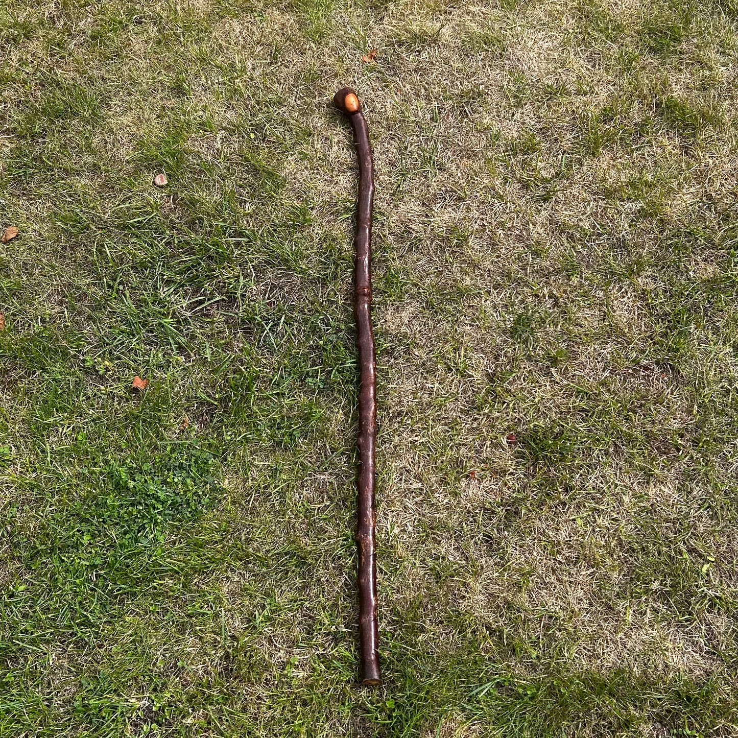 Chunky Blackthorn Shillelagh Small Knob Stick – 99 cm (39”)
