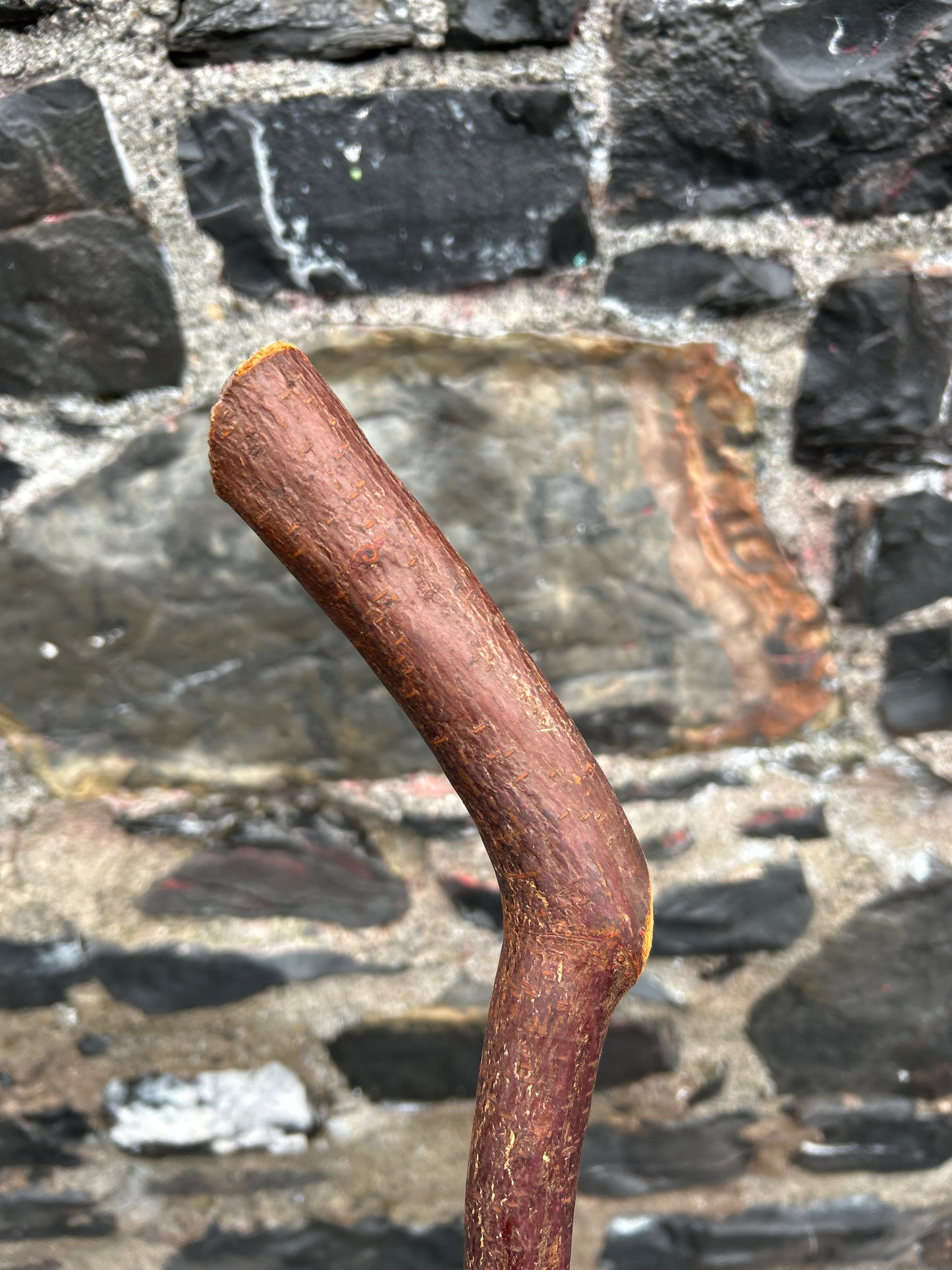 Sloped Blackthorn Hiking Stick – 103 cm (40.5”)