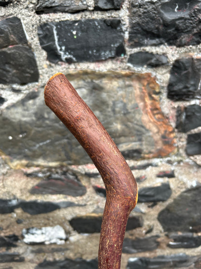 Sloped Blackthorn Hiking Stick – 103 cm (40.5”)