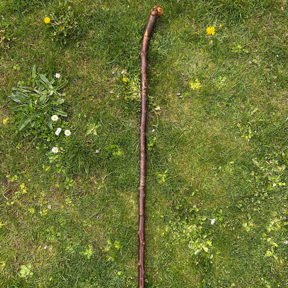 Blackthorn Shillelagh with Knotted Shaft – 109 cm (42.9”)