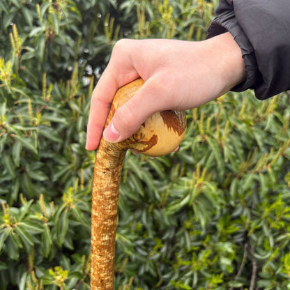 Hazel Knob Walking Stick with Natural Bark – 96 cm (37.8”)