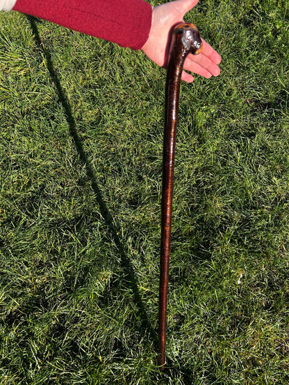 Blackthorn Shillelagh with Small Handle - 99 cm / 39 inches