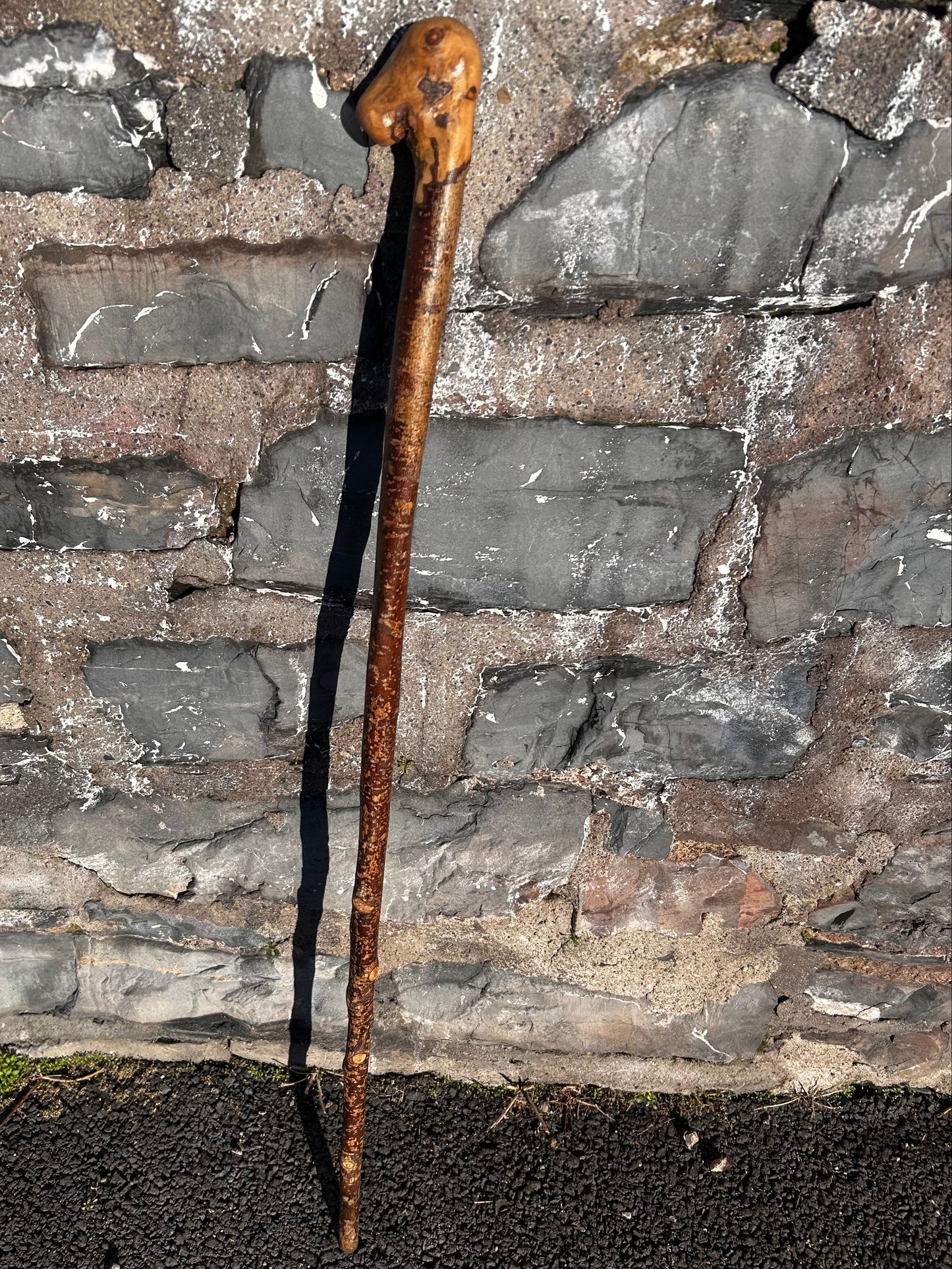 Hazel Knob Walking Stick – 106 cm / 42 inches