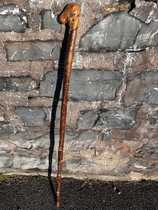 Hazel Knob Walking Stick – 106 cm / 42 inches