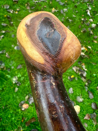 Irish Blackthorn Walking Stick with Knuckles – 40”