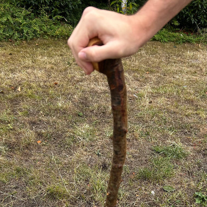 Whitethorn Shillelagh Knob Stick – 87.1 cm (34.3”)