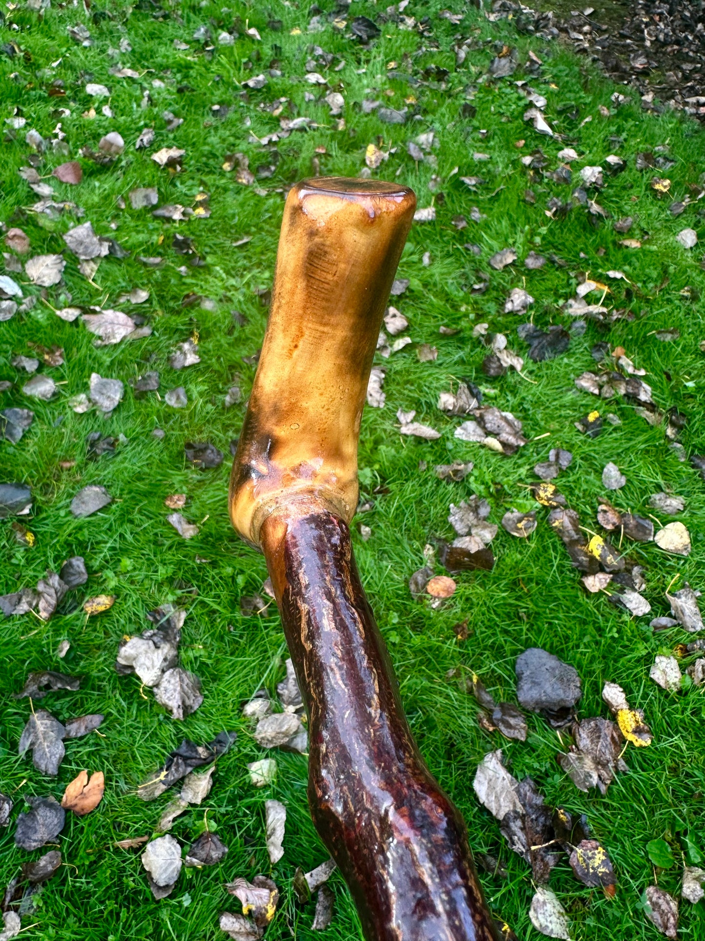 Irish Blackthorn Walking Stick with L Handle – 38”