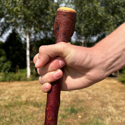 Small Chunky Blackthorn Shillelagh – 82.5 cm (32.5”)