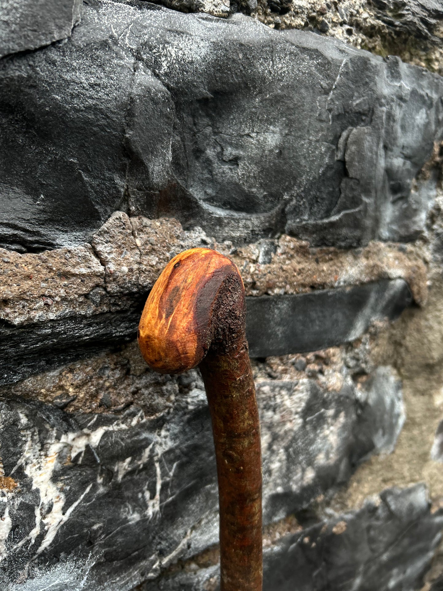 Blackthorn Walking Stick with Small Knob Head – 94 cm (37”)