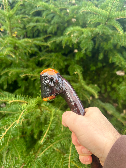 Irish Blackthorn Walking Stick – 37.5”