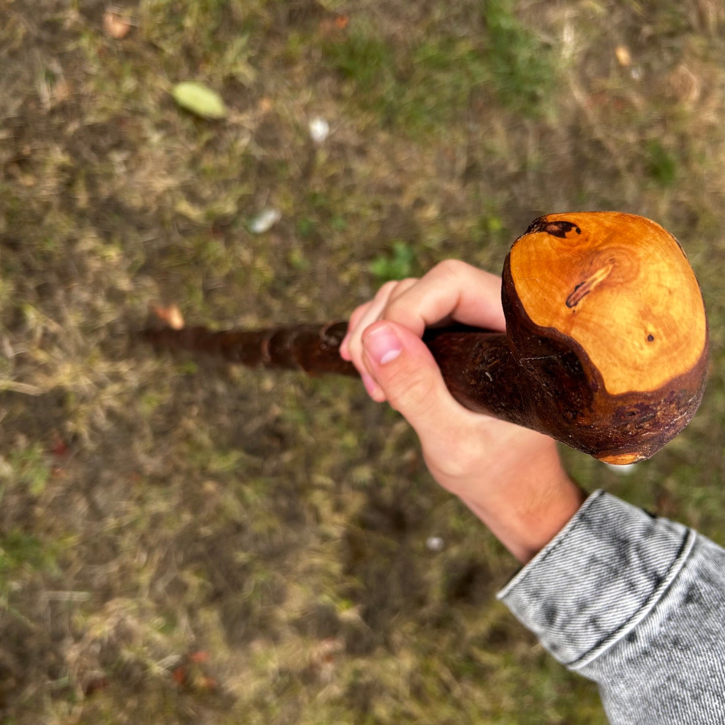 Chunky Knob Blackthorn Shillelagh – 94.3 cm (37.1”)