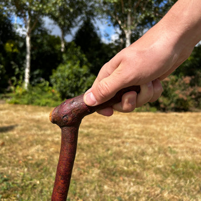 Blackthorn Shillelagh Sloped L Handle “Door Knocker” – 75 cm (29.5”)