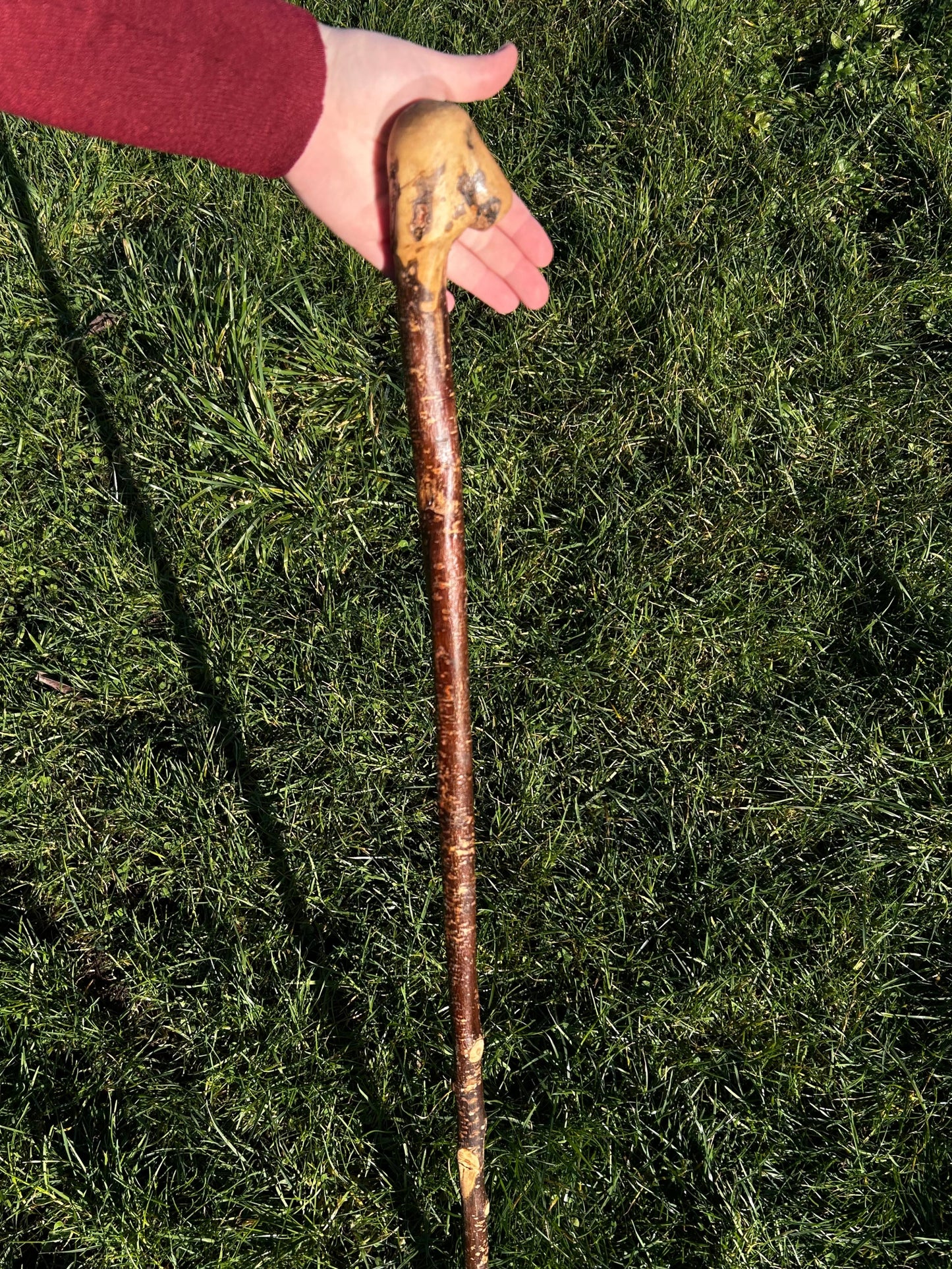 Hazel Knob Walking Stick – 106 cm / 42 inches