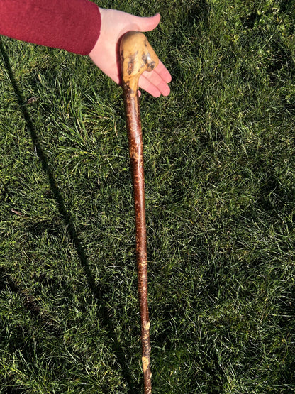 Hazel Knob Walking Stick – 106 cm / 42 inches