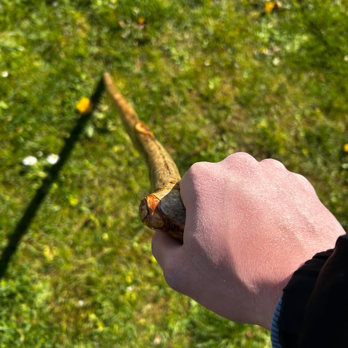 Hazel “Door Knocker” Shillelagh – 90 cm (35.4”)