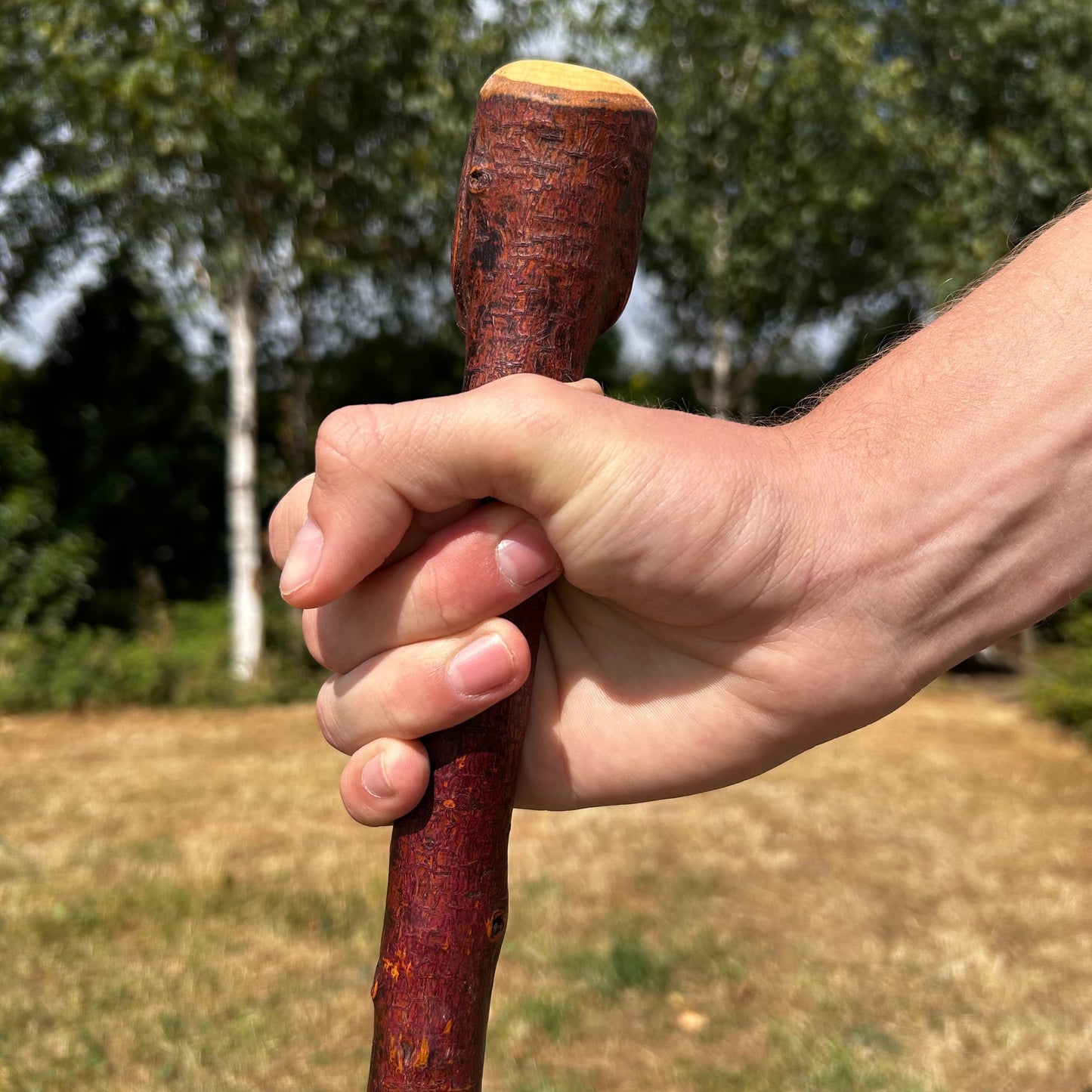 Small Chunky Blackthorn Shillelagh – 82.5 cm (32.5”)