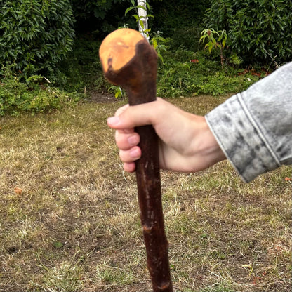 Chunky Knob Blackthorn Shillelagh – 94.3 cm (37.1”)