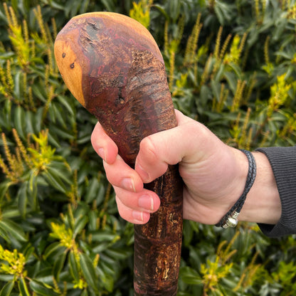 Heavy Gnarly Blackthorn Shillelagh Root Ball Stick – 98 cm (38.5”)