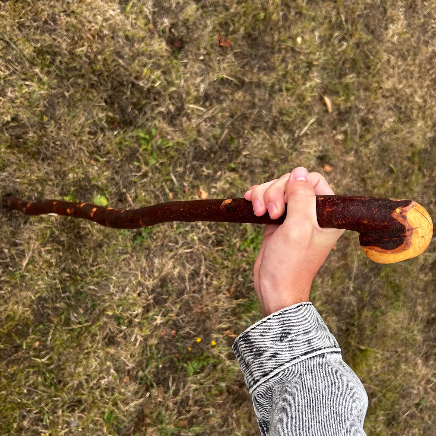 Chunky Blackthorn Shillelagh Knob Stick – 93 cm (36.6”)