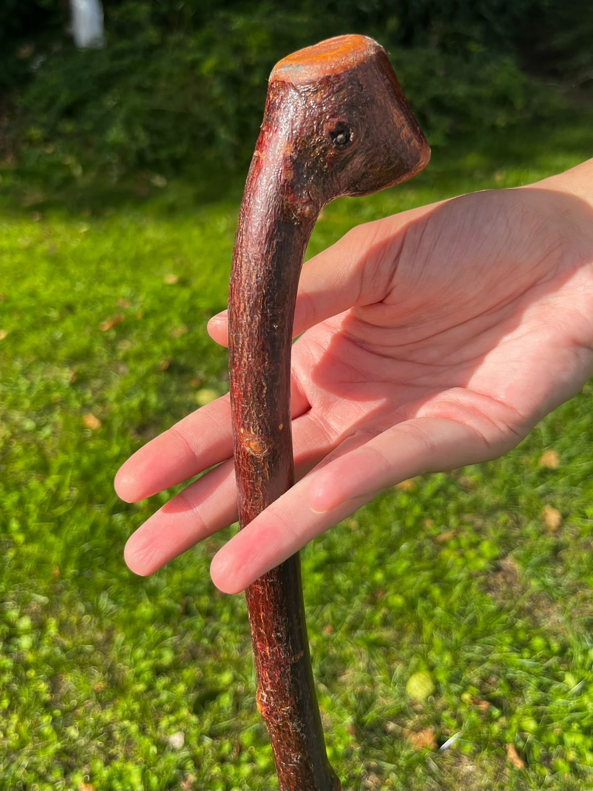 Blackthorn Shillelagh Small Knob Knuckle Stick – 92 cm (36.2”)