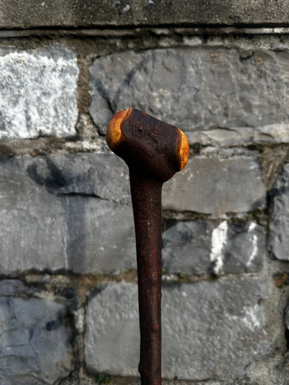 Blackthorn Walking Stick with Tidy Knob Head – 97 cm (38.1”)