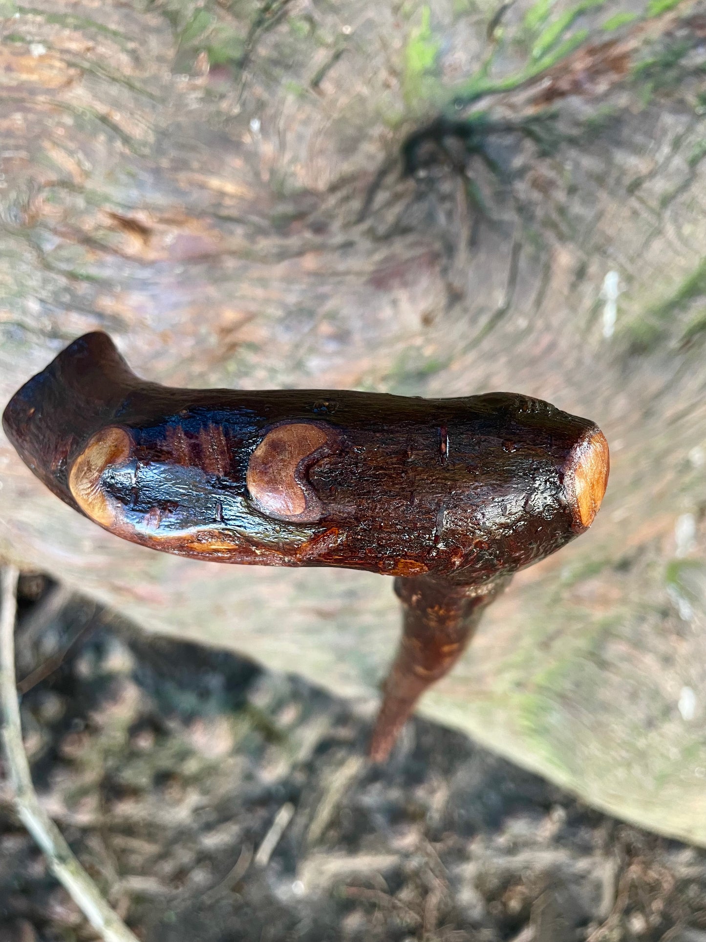 Bumpy Blackthorn walking stick with L Handle