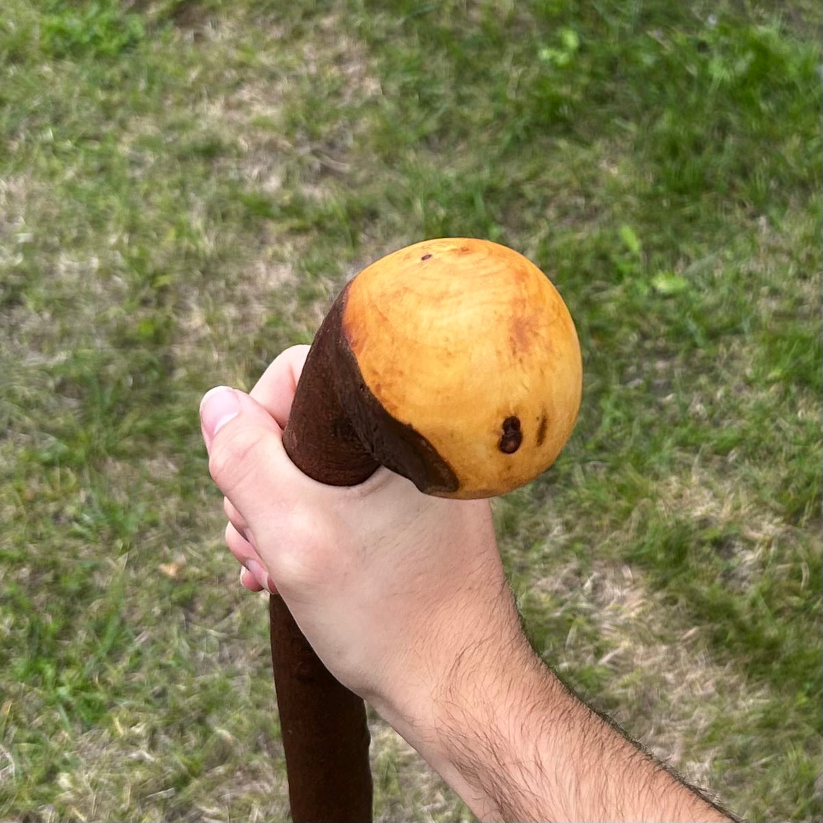Round Knob Blackthorn Shillelagh – 103 cm (40.6”)