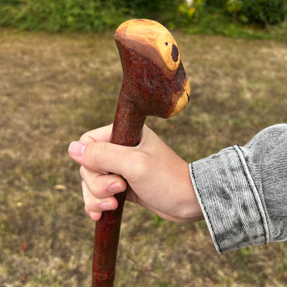 Large Knob Blackthorn Shillelagh – 100 cm (39.4”)