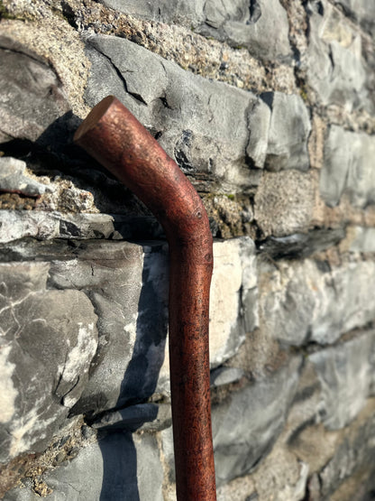 Blackthorn Walking Stick with Sloped L Handle – 97 cm (38.1”)