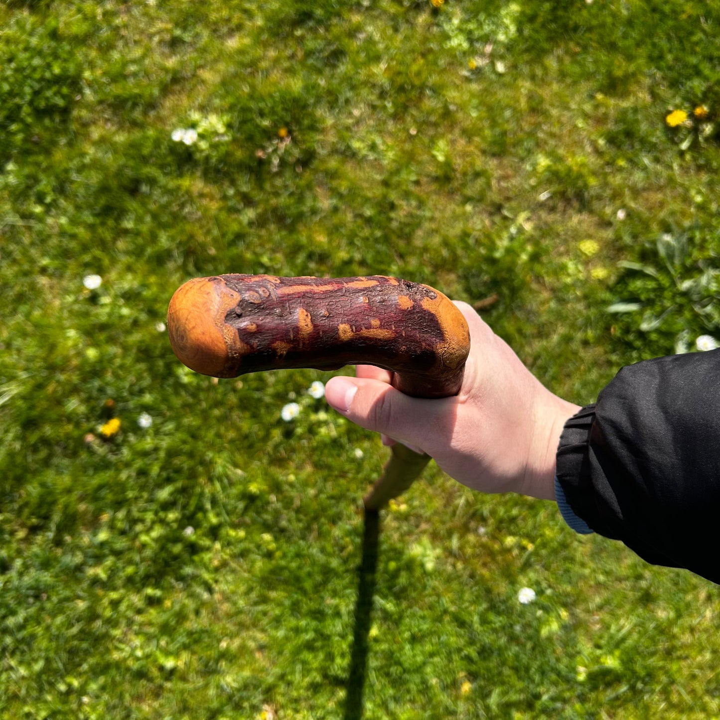 Heavy Blackthorn Shillelagh with Sloped L Handle – 102 cm (40.1”)