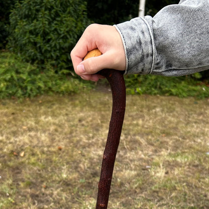 Round Knob Blackthorn Shillelagh – 98.5 cm (38.8”)