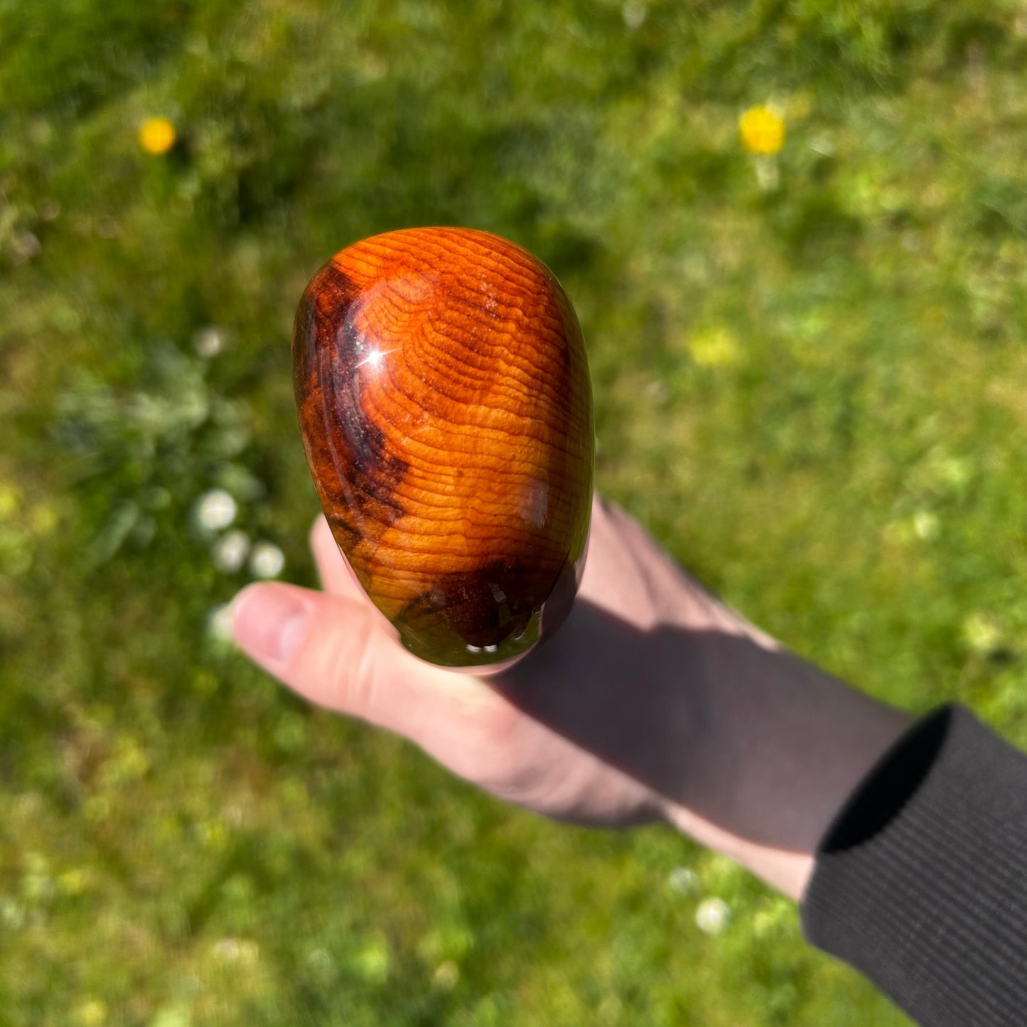 Hazel Shillelagh with Spalted Beech Head – 103 cm (40.5”)