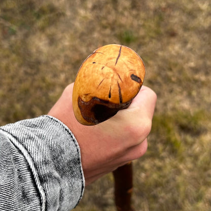 Chunky Blackthorn Shillelagh Knob Stick – 93 cm (36.6”)