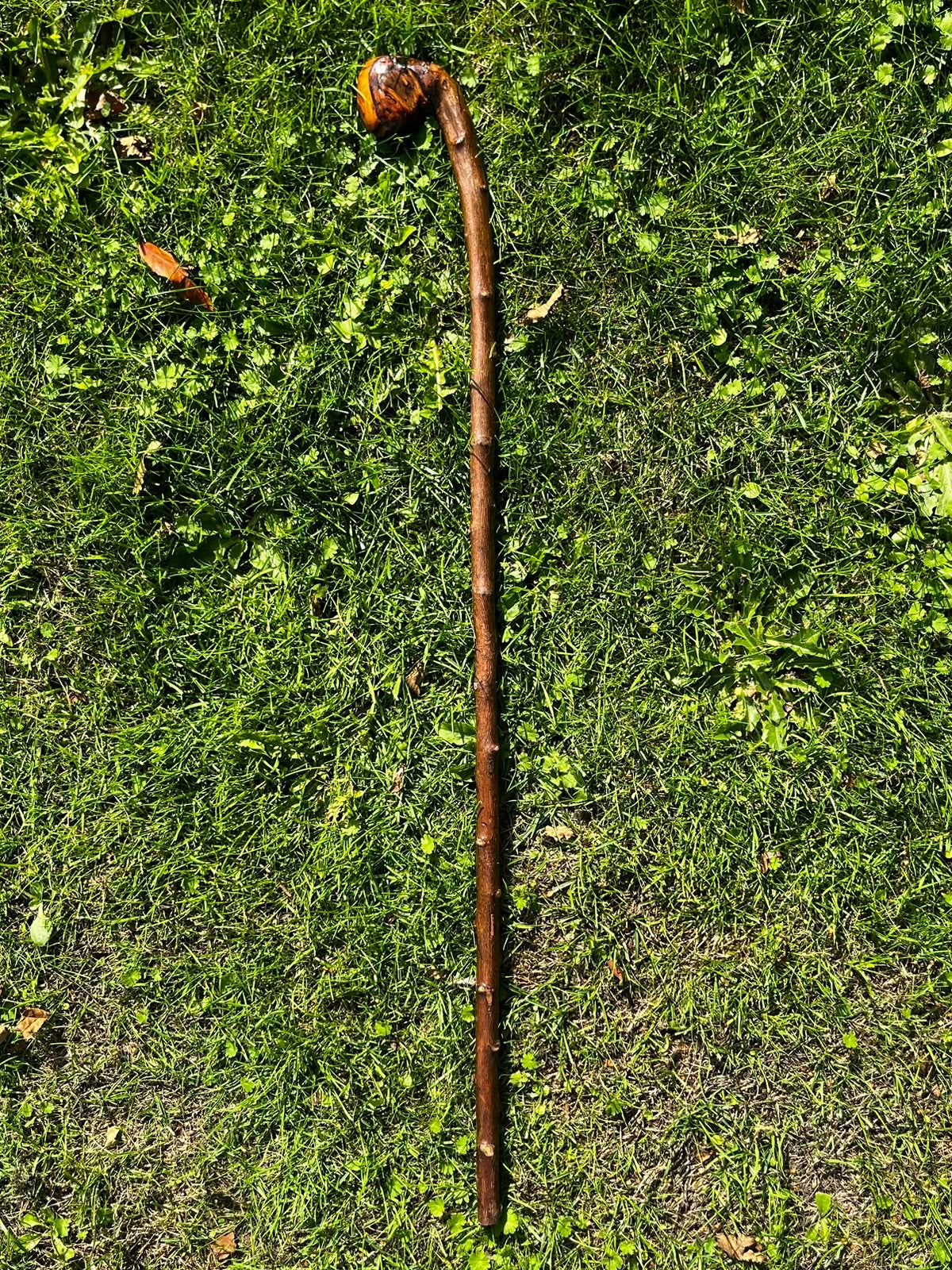 Hazel Knob Walking Stick – 88 cm (33.6”)