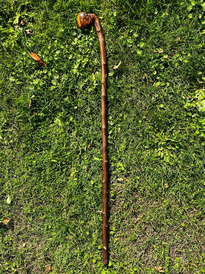 Humpy the Hazel - Shillelagh
