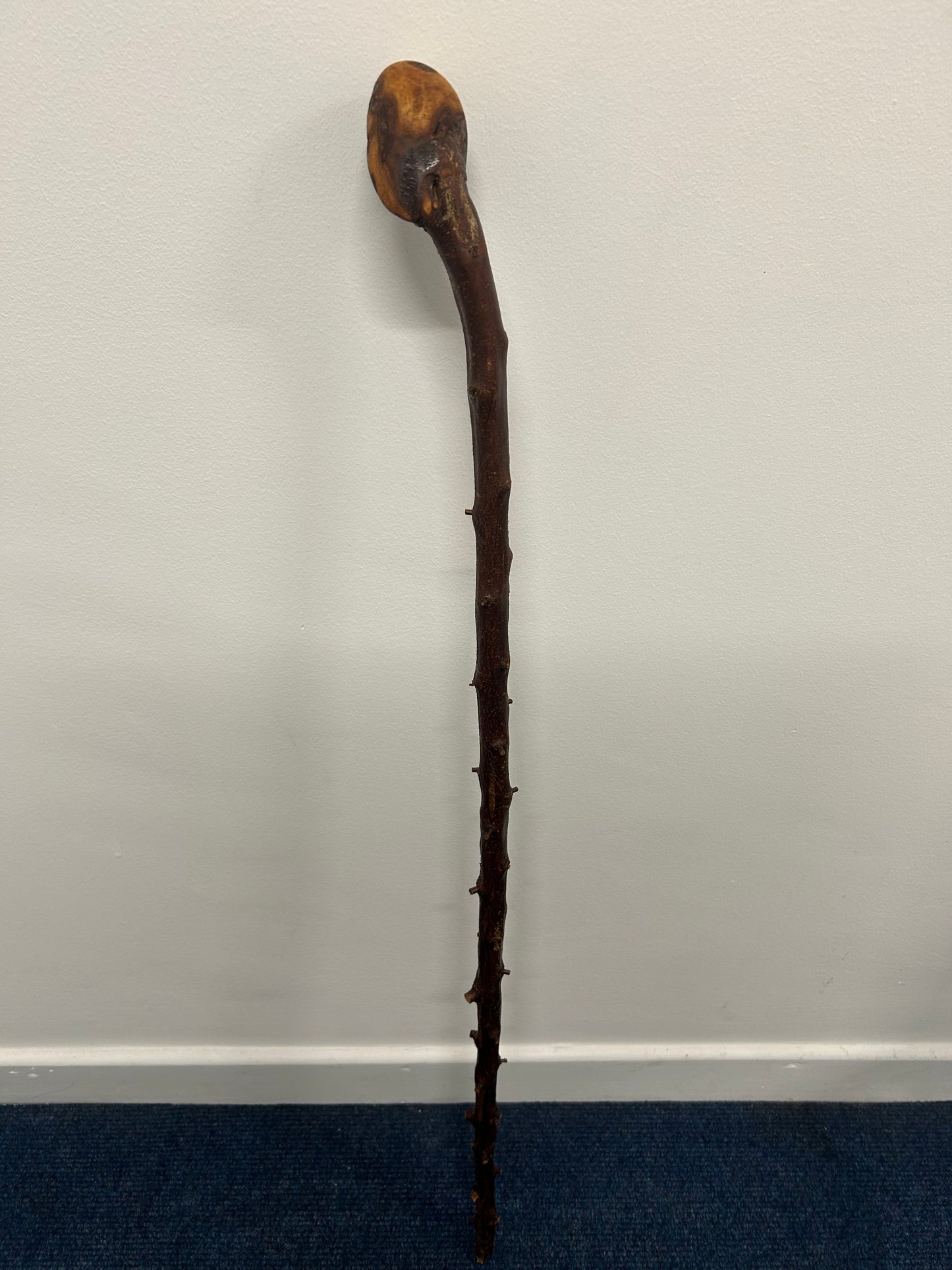 Very Thorny Blackthorn Walking Stick with Rough Head – 95cm